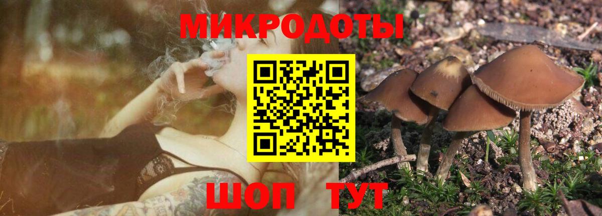 где можно купить наркотик  Галлюциногенные грибы GOLDEN TEACHER  Вход с VPN  Михайловка 